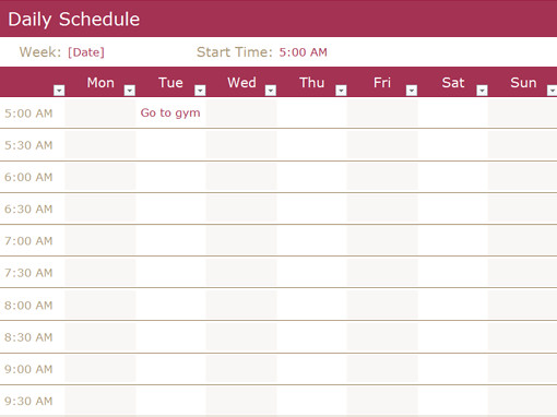Daily Schedule fice Templates