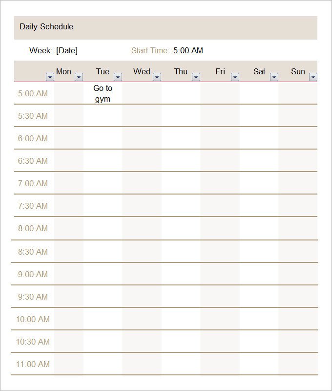 Daily Schedule Template 5 Free Word Excel PDF