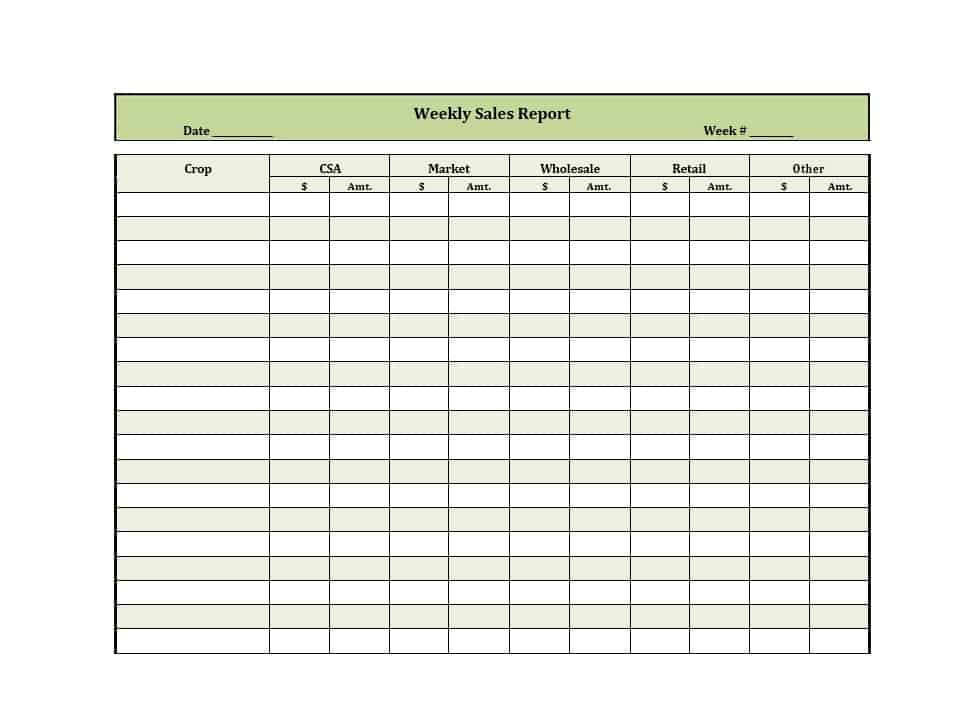 45 Sales Report Templates [Daily Weekly Monthly Salesman