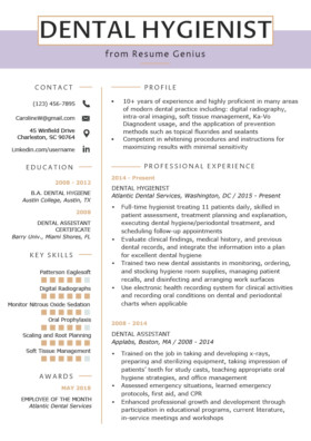 80 Free Professional Resume Examples by Industry