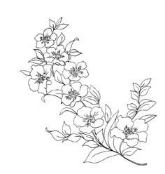 Dogwood Flower Drawing Beeswax flowers