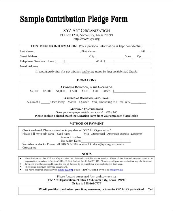 8 Sample Pledge Forms PDF Word