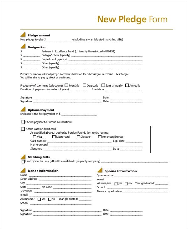 8 Sample Pledge Forms PDF Word