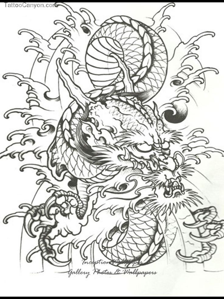 41 best Japanese Dragon Head Tattoos For Women images on