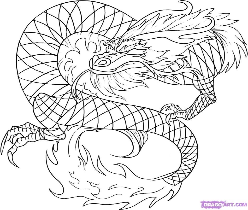 Drawn chinese dragon trace Pencil and in color drawn