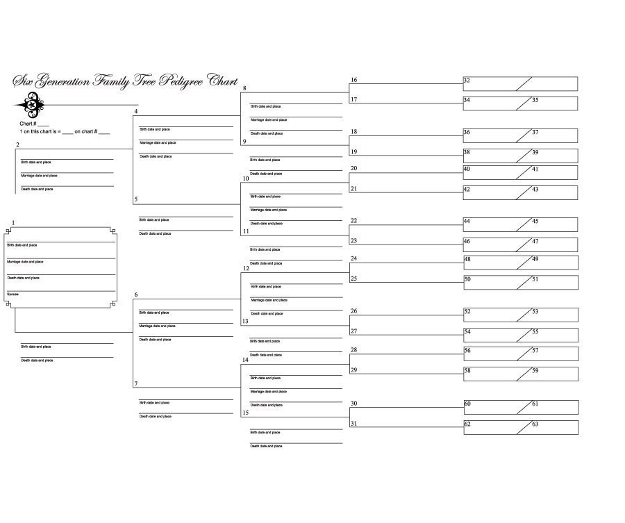 40 Free Family Tree Templates Word Excel PDF