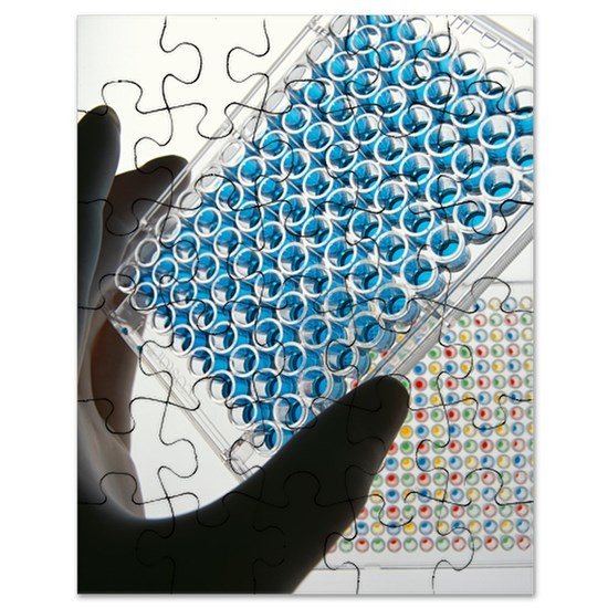 ELISA test plate Puzzle by Science Library CafePress