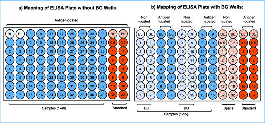 Mapping of an ELISA Plate Depending on Sample Dilution
