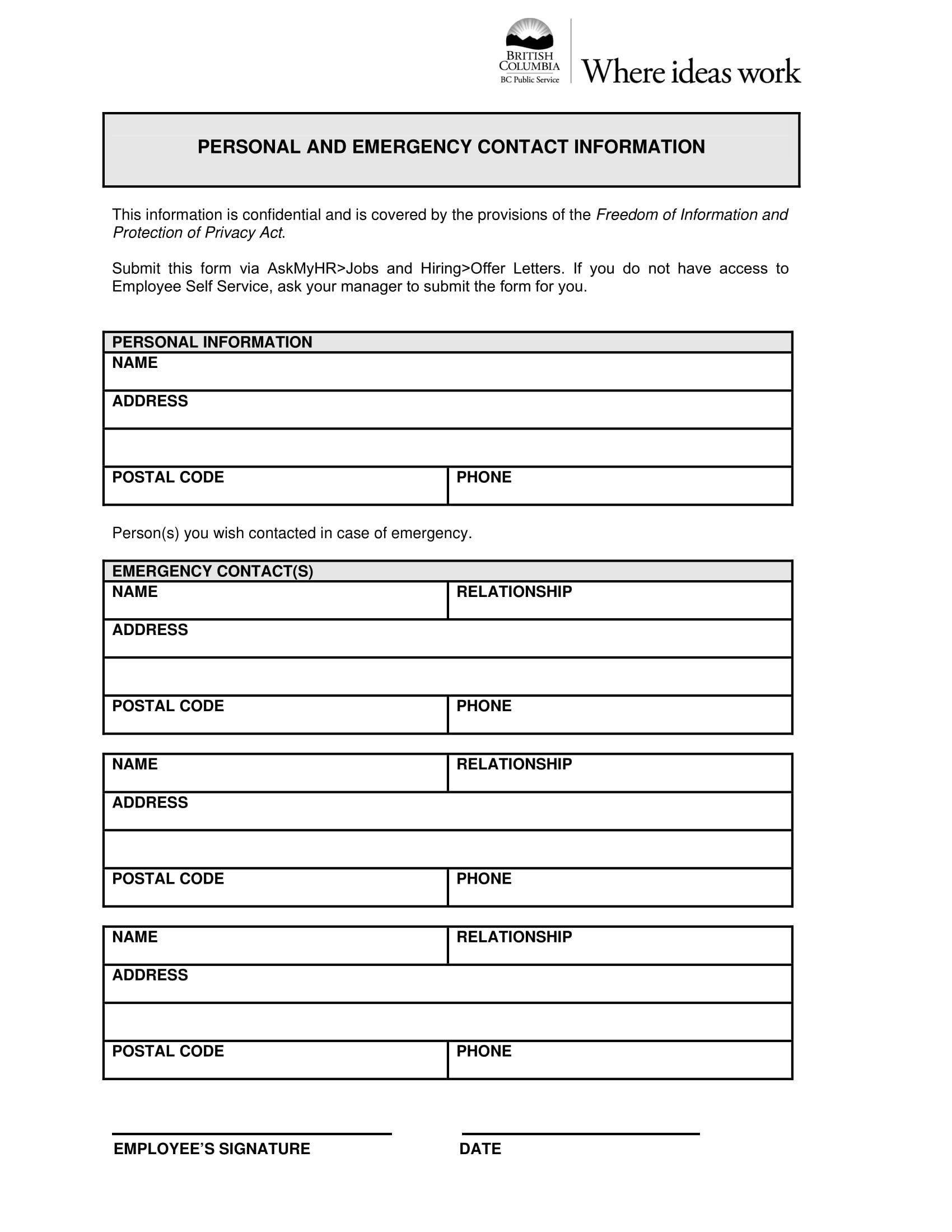 10 Emergency Information Form Examples PDF
