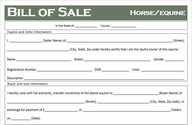 Free Horse Equine Bill of Sale Template All States f