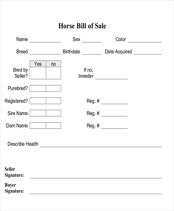 9 Horse Bill of Sale Examples in Word PDF