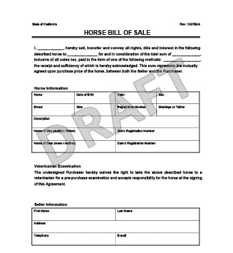 Create a Horse Bill of Sale