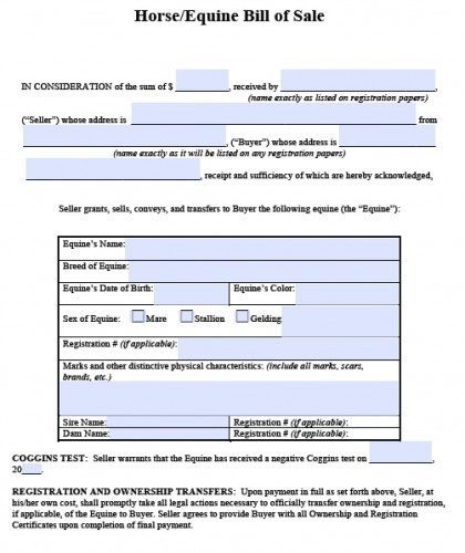 Free Horse Equine Bill of Sale Form PDF
