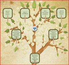 1000 images about Creative Genealogy on Pinterest