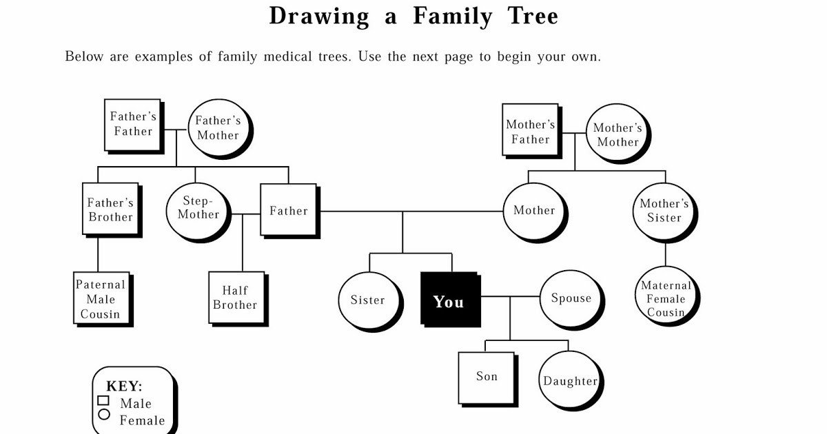 a3Genealogy Genetic Genealogy