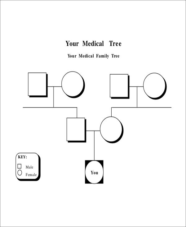 Sample Blank Family Tree 8 Examples in Word PDF