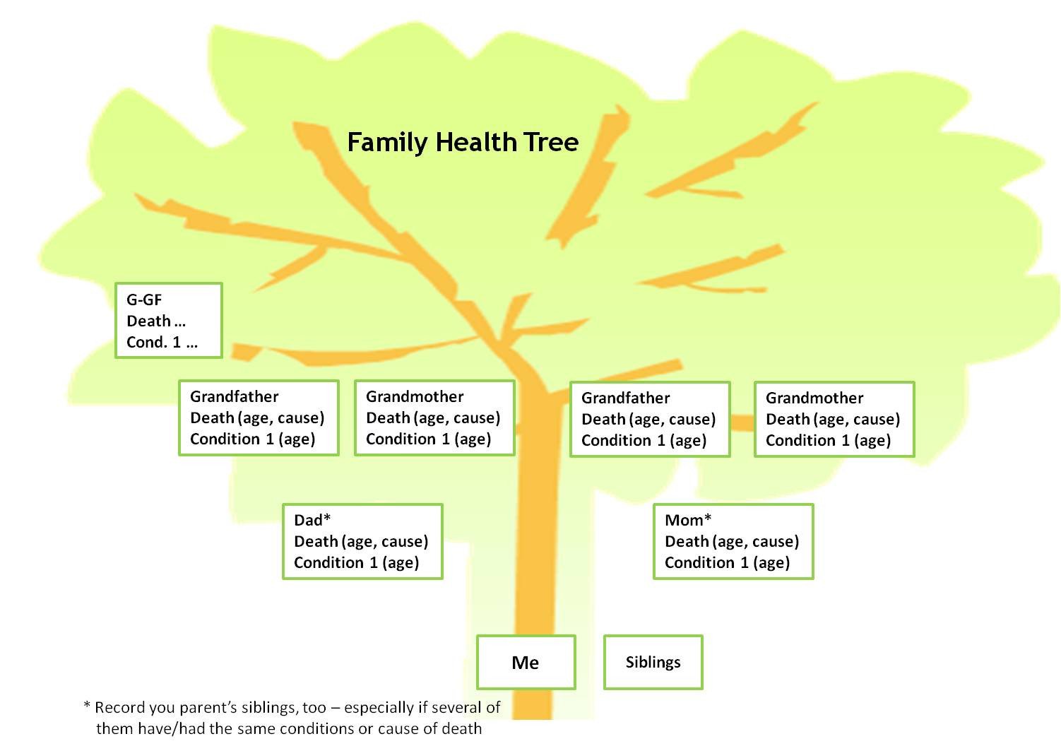 Sue s Health Blog Family Health Tree – the Most Important
