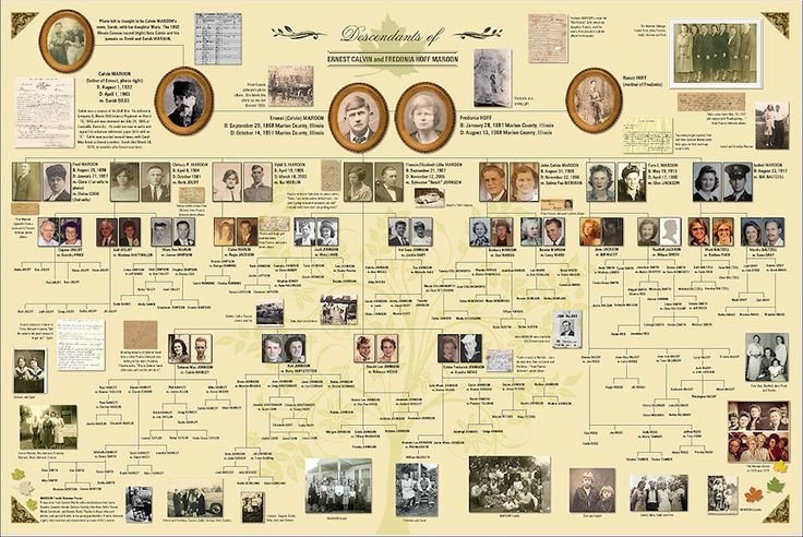Family Tree presentation feature on Ancestry