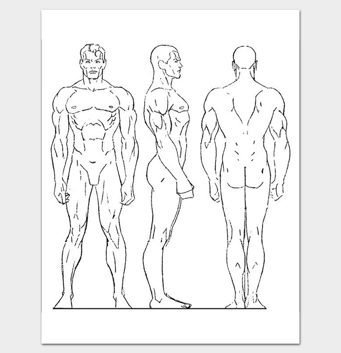 Human Body Outline Template 32 Printable Worksheets