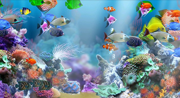 50 Best Aquarium Backgrounds