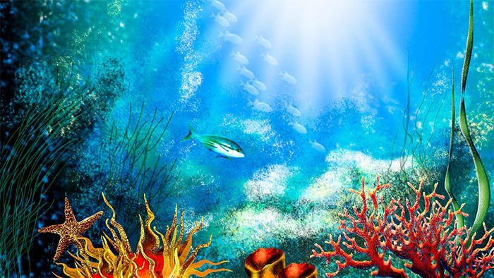 50 Best Aquarium Backgrounds
