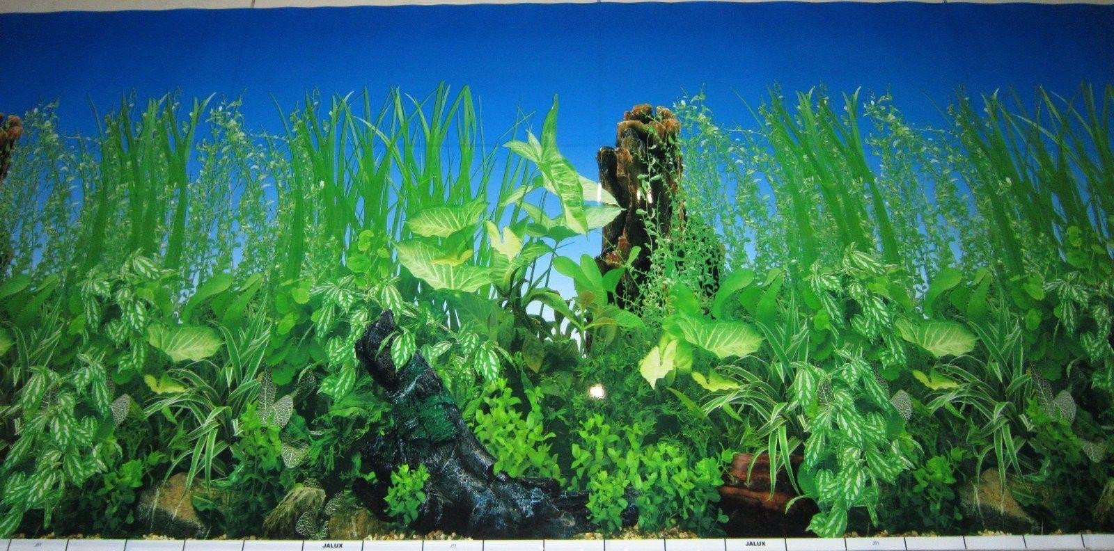 aquarium backgrounds to print free Printable Background