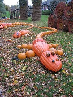 1000 images about Pumpkins on Pinterest