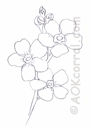 FLOWER PATTERNS FOR TRACING