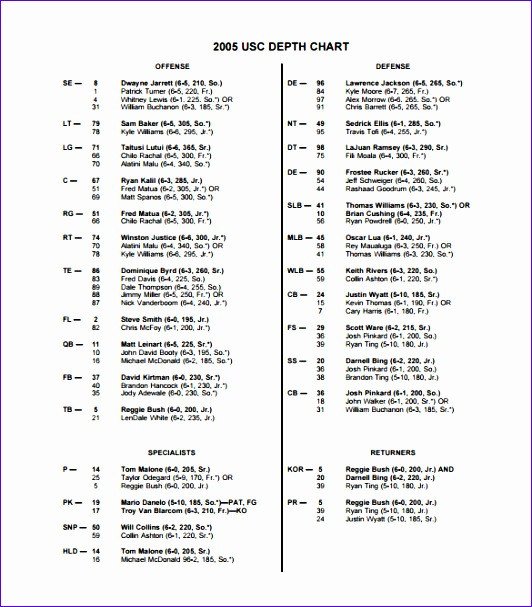 10 Football Depth Chart Template Excel ExcelTemplates
