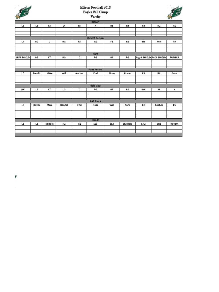 Blank Special Teams 2013 Depth Chart