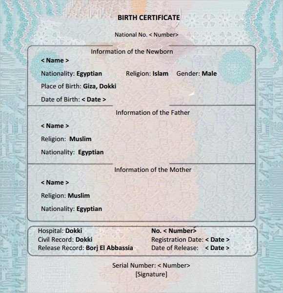 12 Birth Certificate Templates – Examples Samples Word