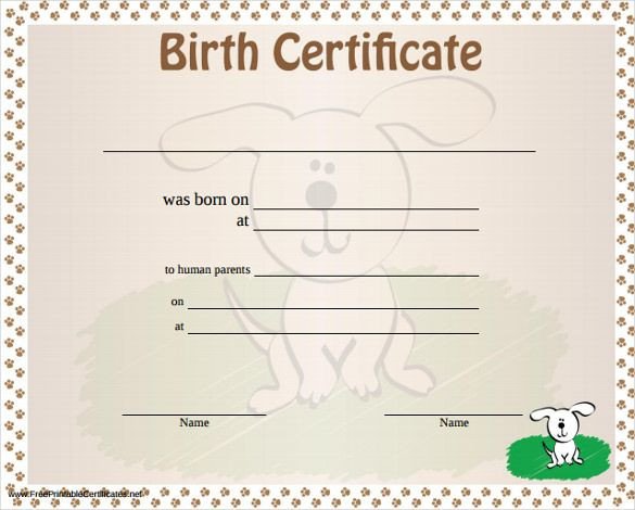 Birth Certificate Template – 31 Free Word PDF PSD