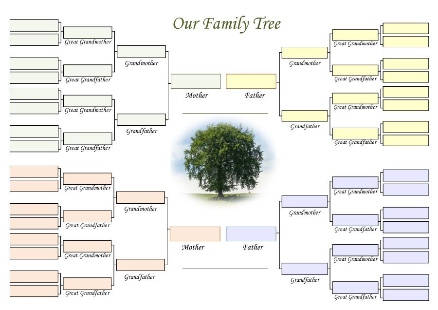 50 Free Family Tree Templates Word Excel PDF