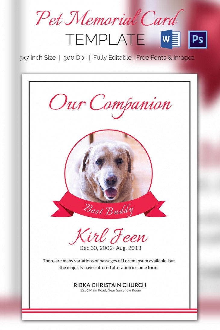 5 Pet Memorial Card Template Word PSD Pages