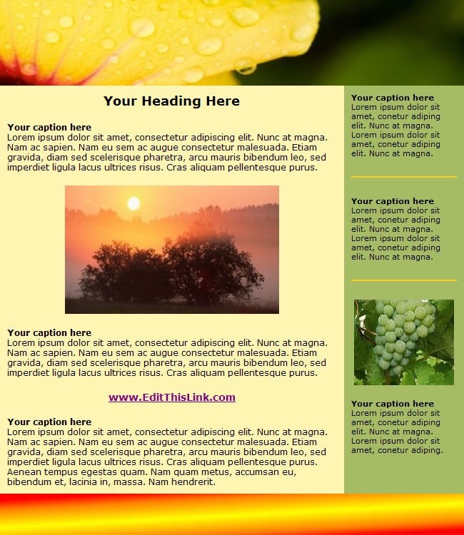 Top 10 Free HTML Newsletter Templates Something for Everyone