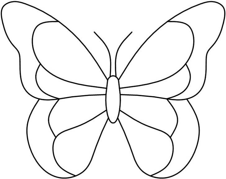 Best 25 Butterfly pattern ideas on Pinterest