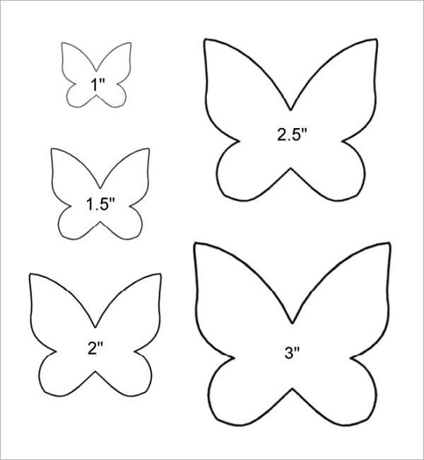 butterfly templates Yahoo Image Search Results