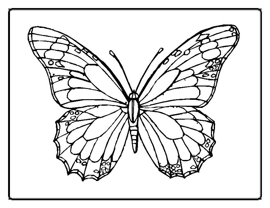 Printable Butterfly Template AZ Coloring Pages