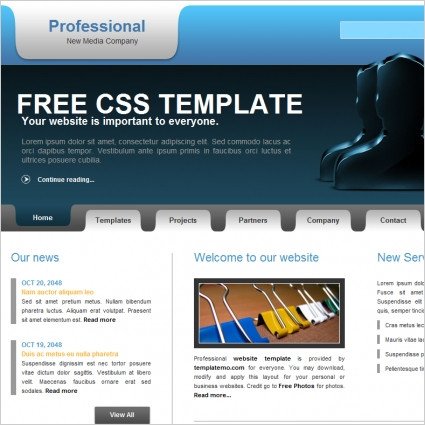 professional Free website templates in css js