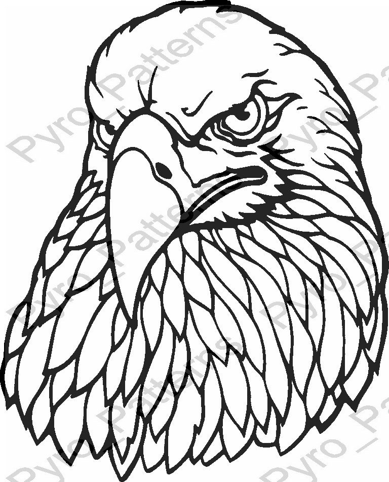 Pyrography Wood burning Eagle Head Bird Pattern Printable