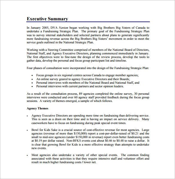 Fundraising Plan Template 11 Free Word PDF Documents