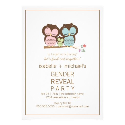 Cute Owl Couple Gender Reveal Party Invitation