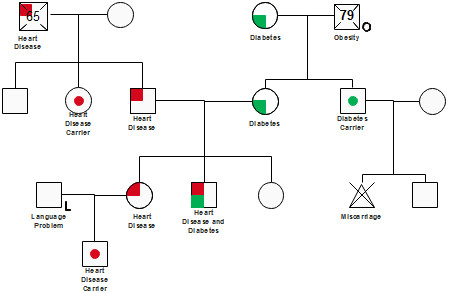 Genogram Software for Mac Windows and Linux