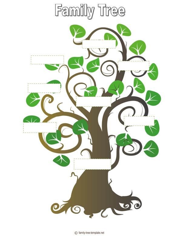 Family Tree Template Genealogy