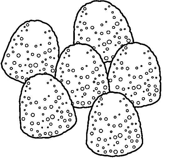 Gumdrop Clip Art Black And White Sketch Coloring Page