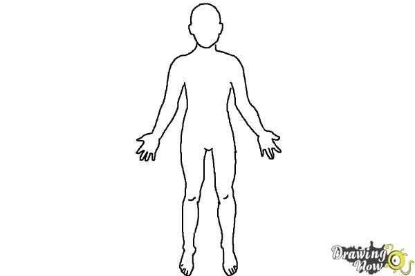 How to Draw a Body Outline DrawingNow