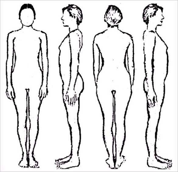 Human Body Outline Drawing at GetDrawings
