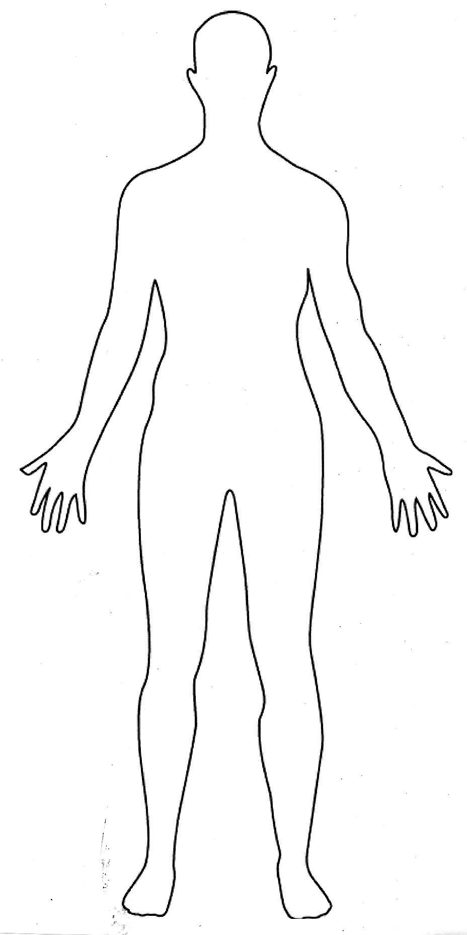 Human Body Outline Drawing