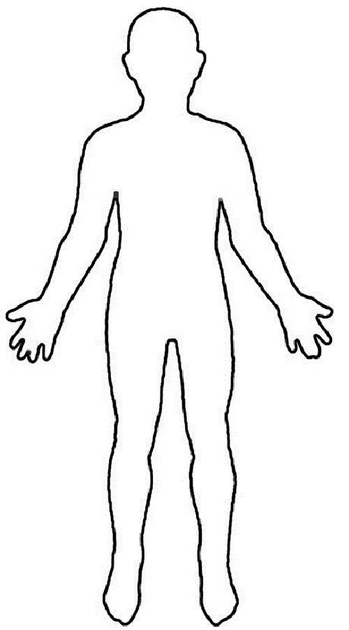 Human Body Outline