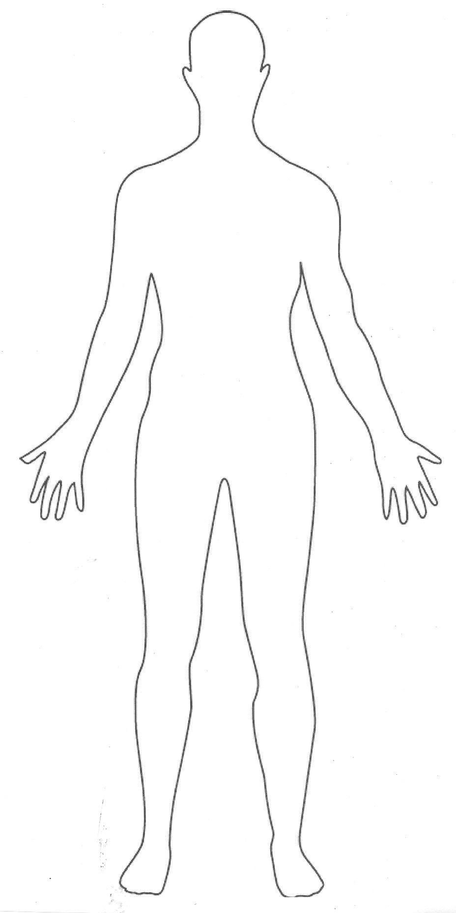 outline picture parts of the human body Great for